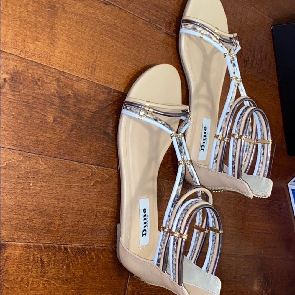 strappy sandals (shoes)